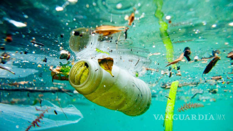 2025, por cada 3 toneladas de peces habrá 1 de plástico en los océanos