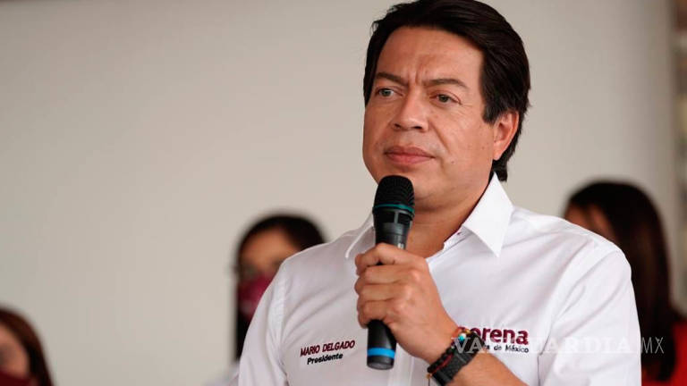 Por encuesta se elegirá al candidato presidencial de Morena: Delgado