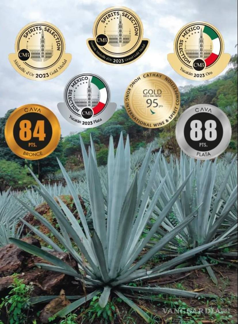 $!Los reconocimientos a Casa Cruga Mezcales Artesanales premian el valor de la tradición familiar.