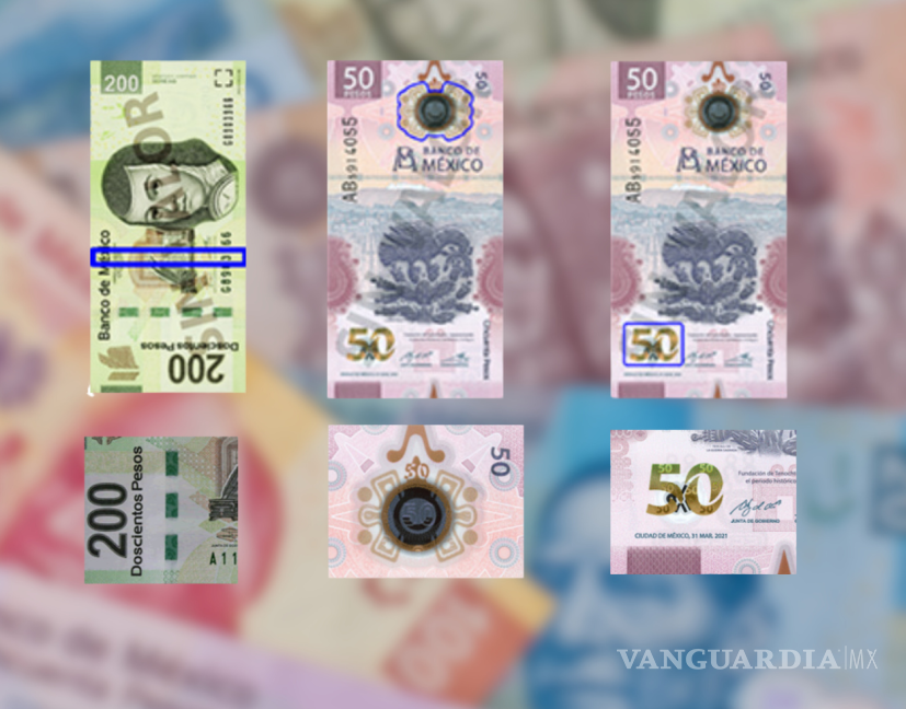 Cómo identificar un billete falso? Evita ser estafado siguiendo estos 3  pasos
