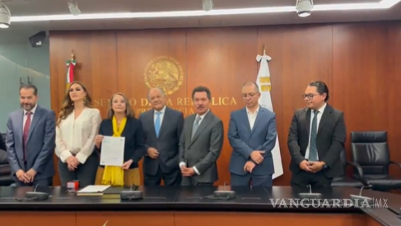 Reciben en el Senado de la República el Plan B de la reforma electoral ...