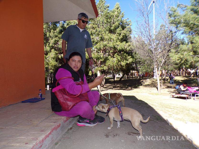 $!La educación sobre la tenencia responsable de mascotas es crucial para abordar el problema del perro callejero en la sociedad.