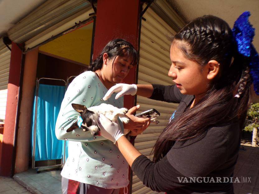 $!Descuentos especiales se ofrecen para la esterilización de múltiples mascotas, promoviendo la tenencia responsable en la comunidad.