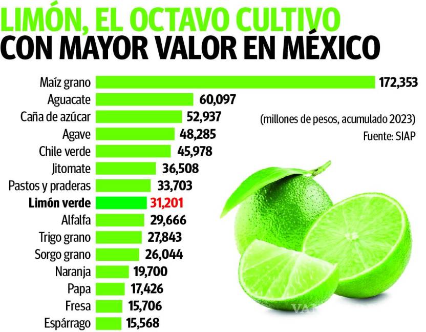 $!Limón se vuelve ‘más agrio’ ante alza de precios provocada por hechos de inseguridad