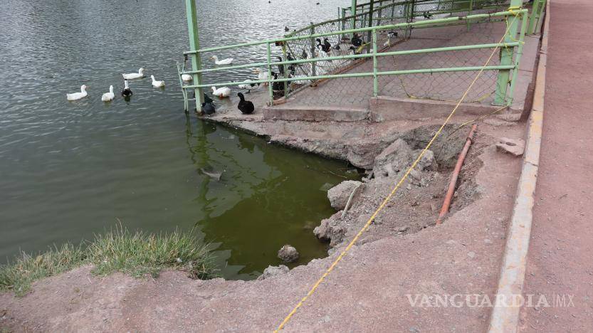 $!Clausura por seguridad, ya que el deterioro del muelle del lago de la Ciudad Deportiva en Saltillo es visible.