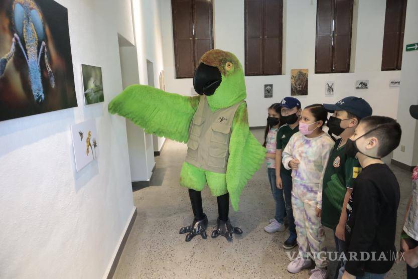 $!El Museo de las Aves de México abre los días 24 de diciembre entre las 11:00 y las 15:00 horas, así como el lunes 25 entre las 11:00 y las 18:00 horas.