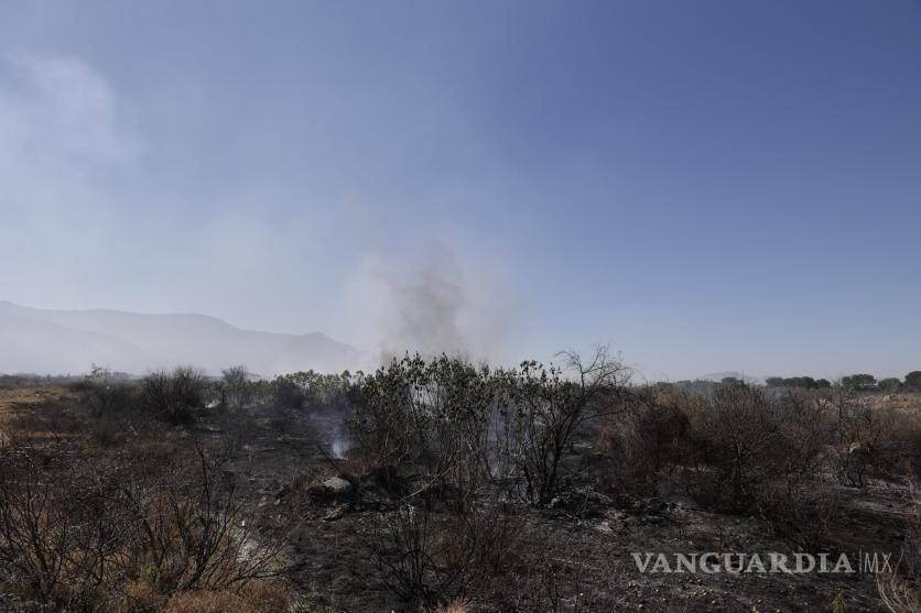 $!La hierba seca contribuyó al rápido avance del incendio, creando un desafío para los bomberos en la escena.