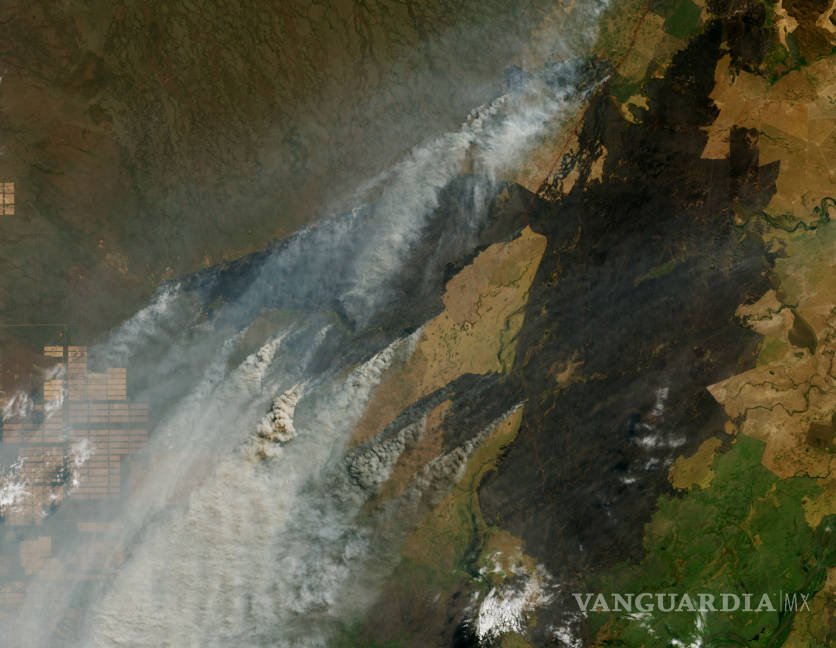 $!Analizan investigador de El COLEF, impacto de incendios en el Amazonas de Brasil
