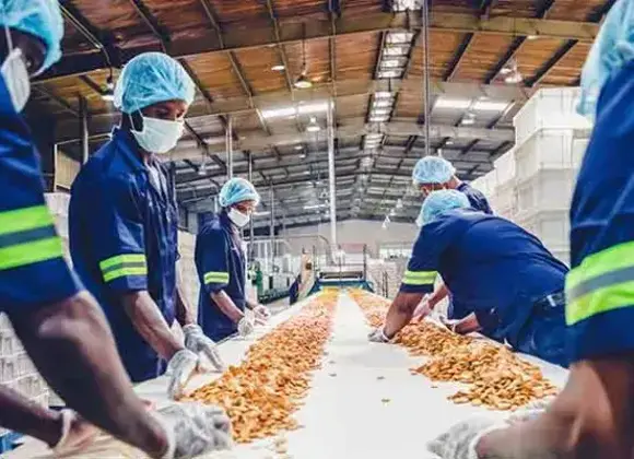 Celebra Molinos del Fénix su 140 aniversario en Saltillo