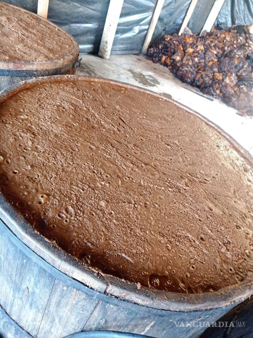 $!El largo proceso de fermentación y destilación es fundamental para definir el sabor único de cada mezcal.