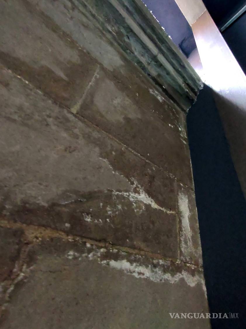 $!Fuentes cercanas a la UAdeC señalan la falta de atención al mantenimiento en los últimos años.