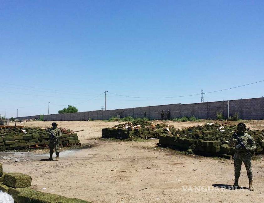 $!Marina y PGR destruyen 16 toneladas de mariguana