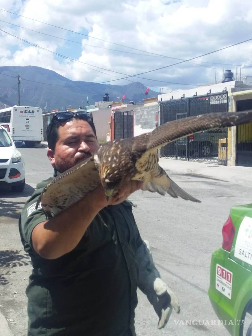 $!Policía Ambiental de Saltillo, proyecto de éxito que se replica en otras ciudades