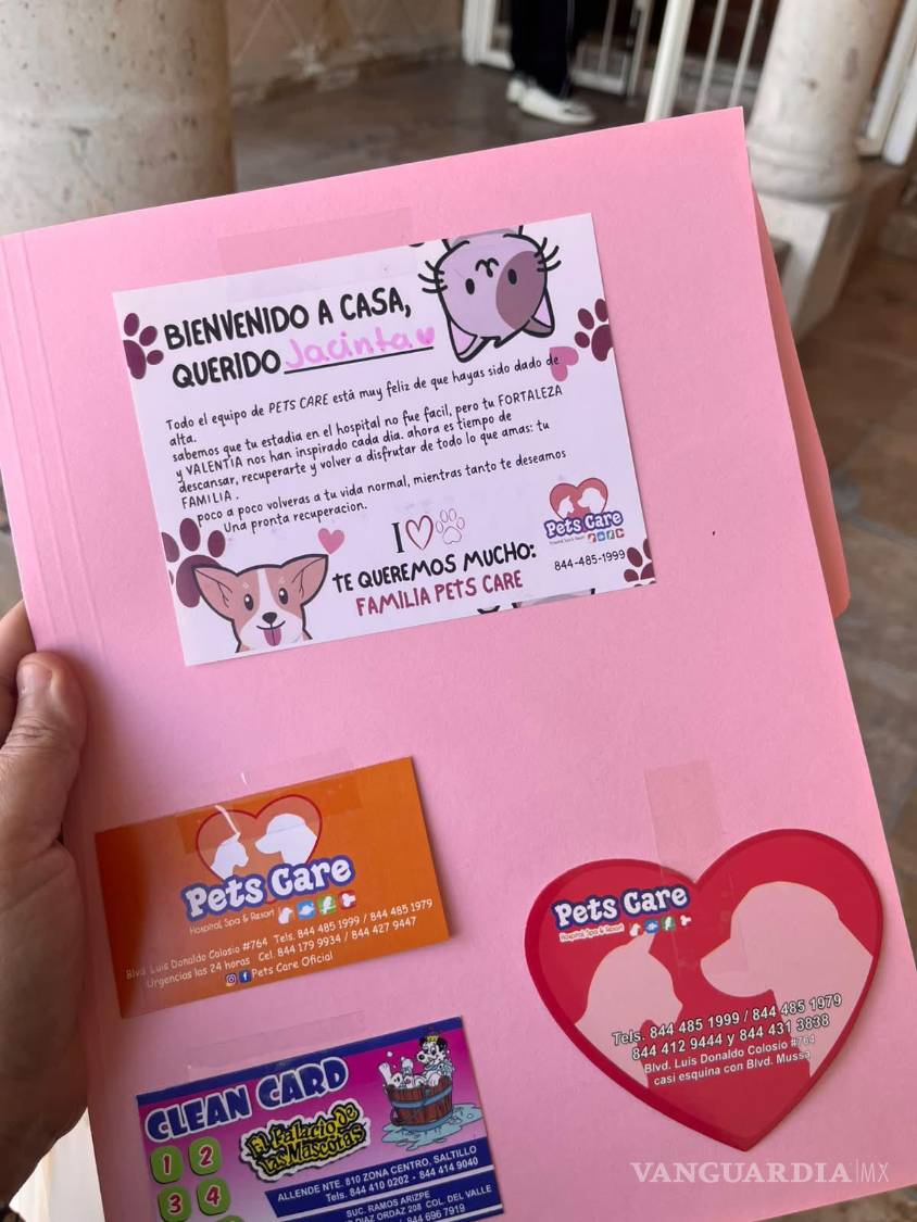 $!Jacinta busca familia en Saltillo después de ser abandonada y tener a sus perritos