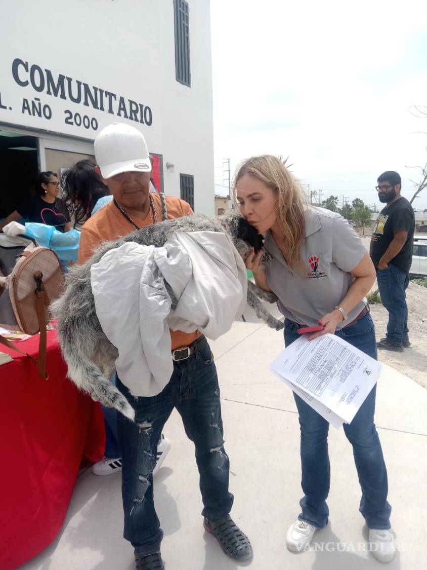 $!Animales callejeros reciben atención gratuita gracias a la organización de activistas y asociaciones.