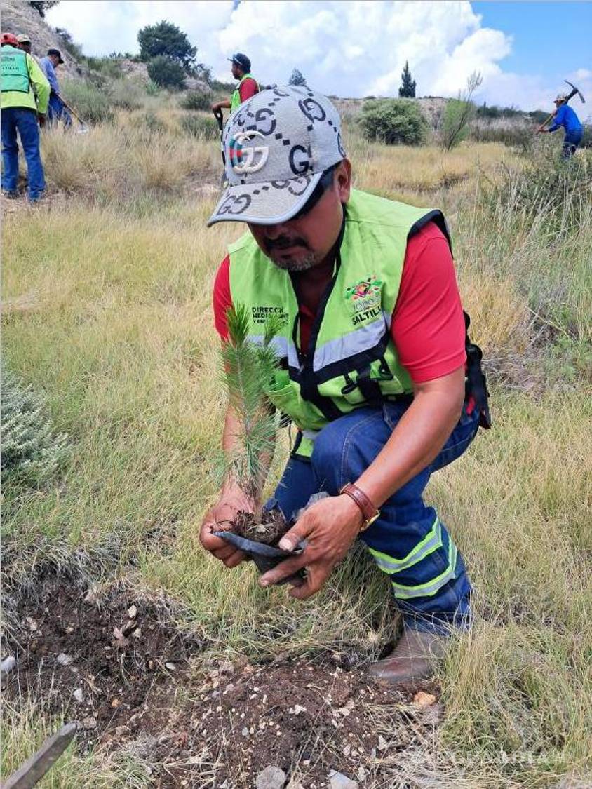 $!La jornada reunió a saltillenses de distintas edades interesados en contribuir al cuidado de los espacios naturales de la ciudad.