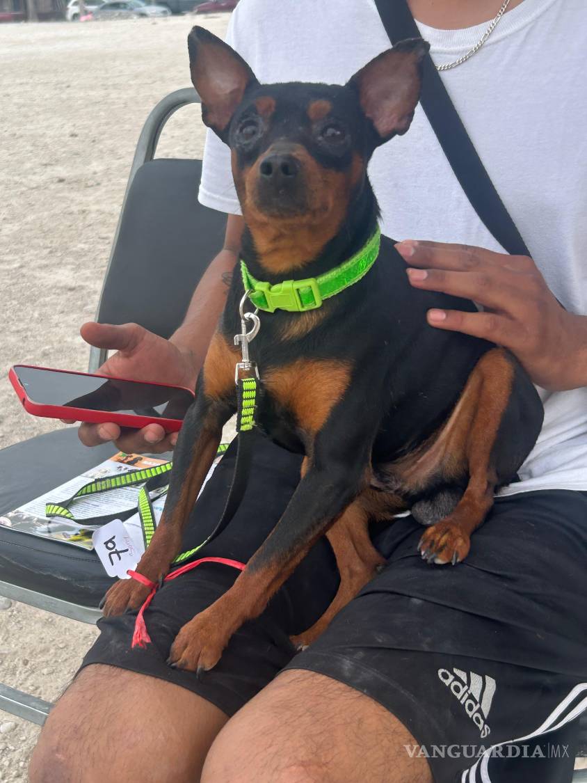 $!Con instrumental básico y esfuerzo voluntario, se realizan decenas de procedimientos cada mes.