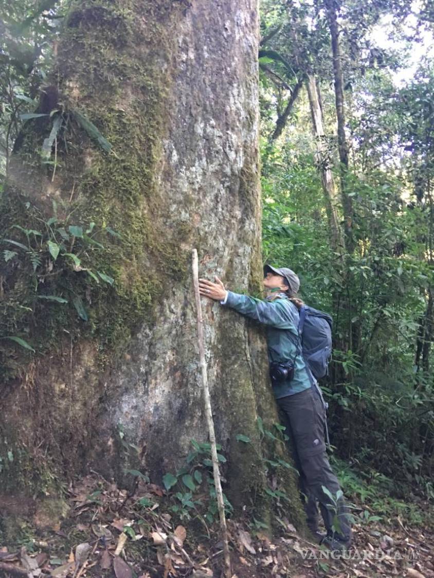 $!“El Everest no solo me mostró la curvatura de la Tierra, sino una nueva perspectiva de la vida. Estos 25 años han sido de constantes aprendizajes y de compartir la cumbre,” nos cuenta Karla, recordando su gratitud y bendiciones.