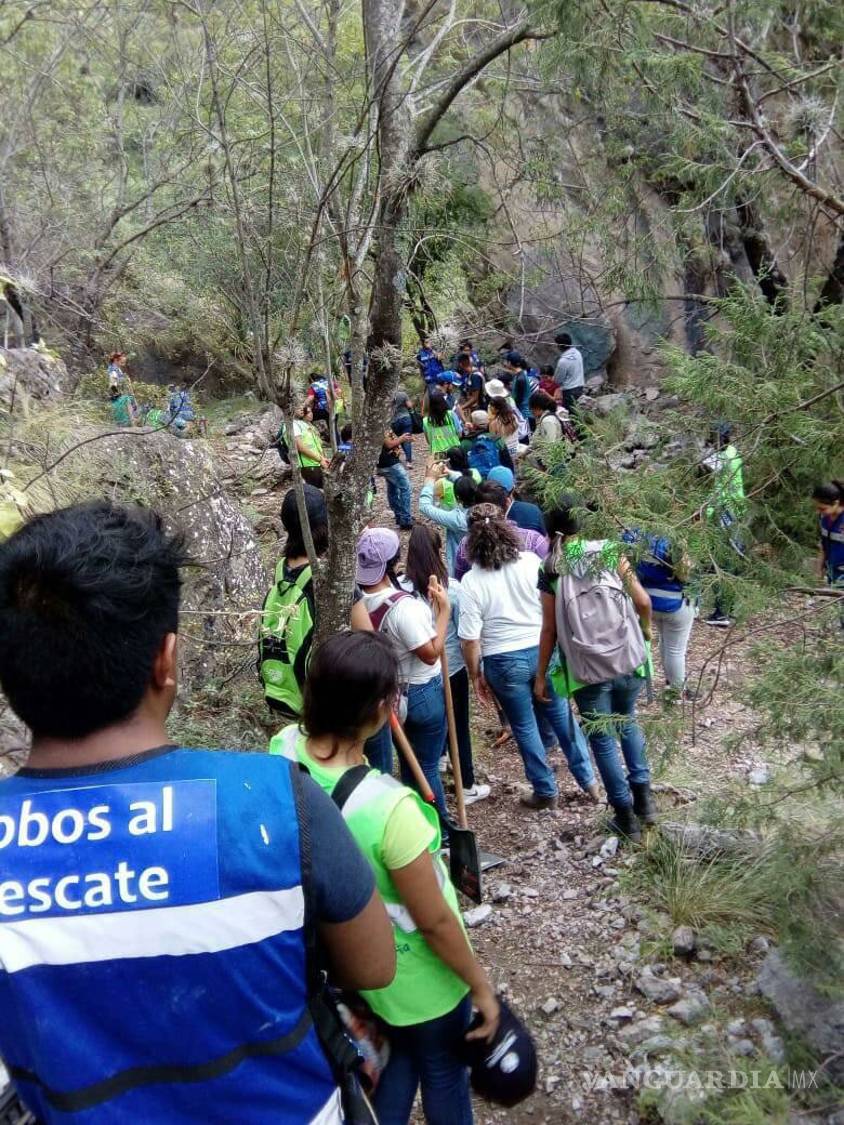$!Apoya Tu Bosque Local ‘resucita’ a Zapalinamé