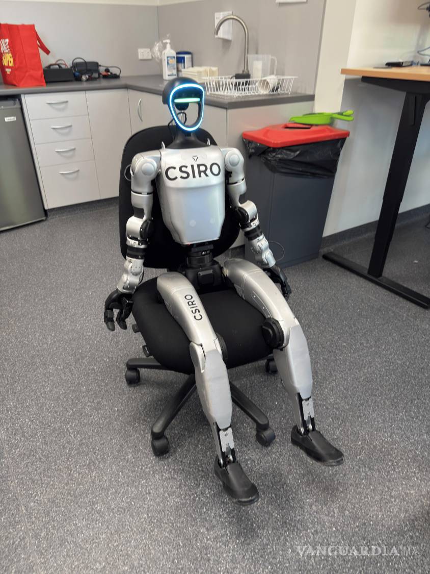 $!Los robots humanoides, que se asemejan a una persona en apariencia, movimiento o comportamiento, representan sólo una pequeña parte de la investigación robótica.