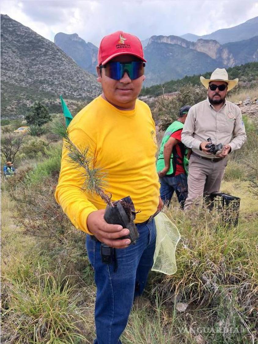 $!Con palas y herramientas, los participantes se trasladaron hasta las zonas de plantación para colocar los nuevos árboles.