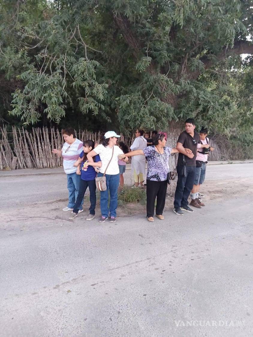 $!Imagen de los vecinos y activistas en defensa del árbol.