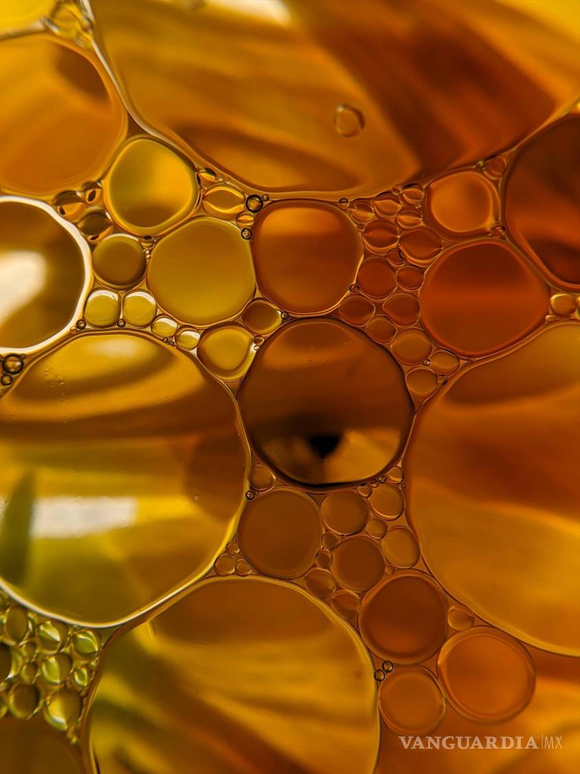 $!Hay diferentes opciones para el aceite que usamos para cocinar.