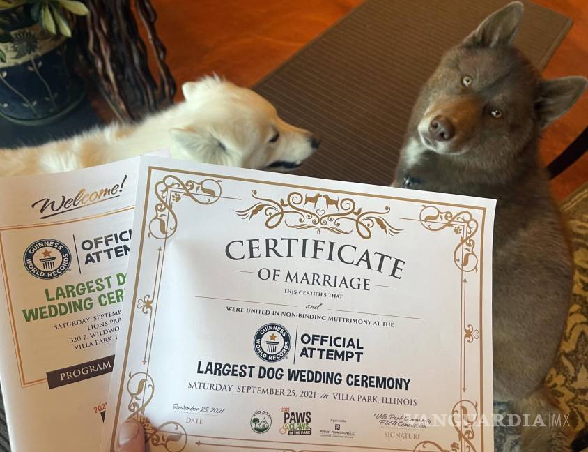$!Fotografía donde se aprecia a dos perros junto con sus certificados de matrimonio casados durante una fiesta celebrada en Villa Park, Illinois.