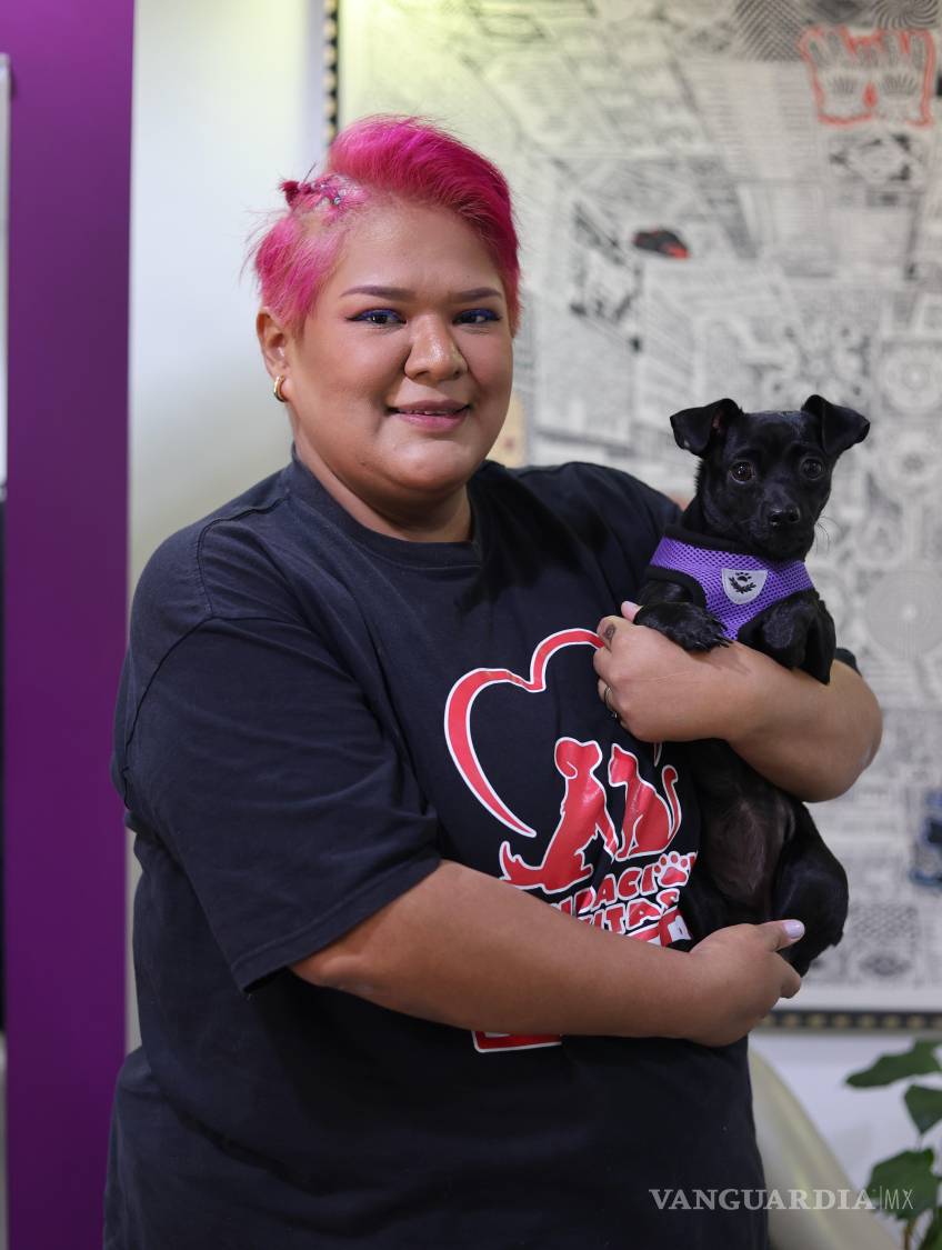 $!Mochi es uno de los casos atendidos por Ayudando Naricitas sin Hogar y requiere alimento especial debido a su condición de salud.
