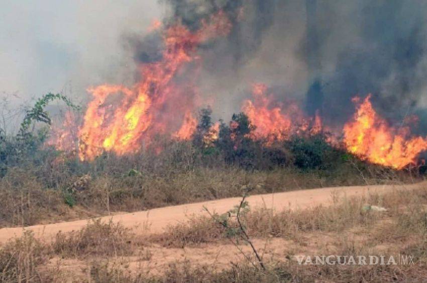 $!Bolsonaro reclama a gobernadores por falta de apoyo en lucha contra incendios en el Amazonas
