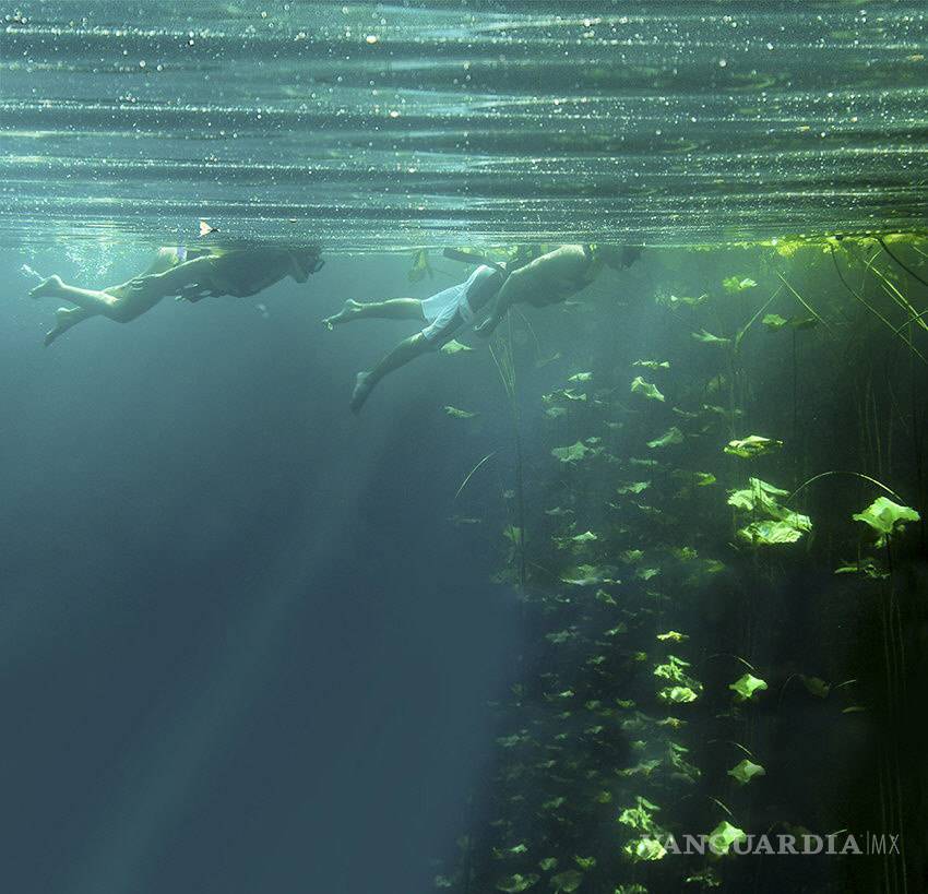 $!Reguardan cenotes y cuevas de la Riviera Maya grandes enigmas prehistóricos