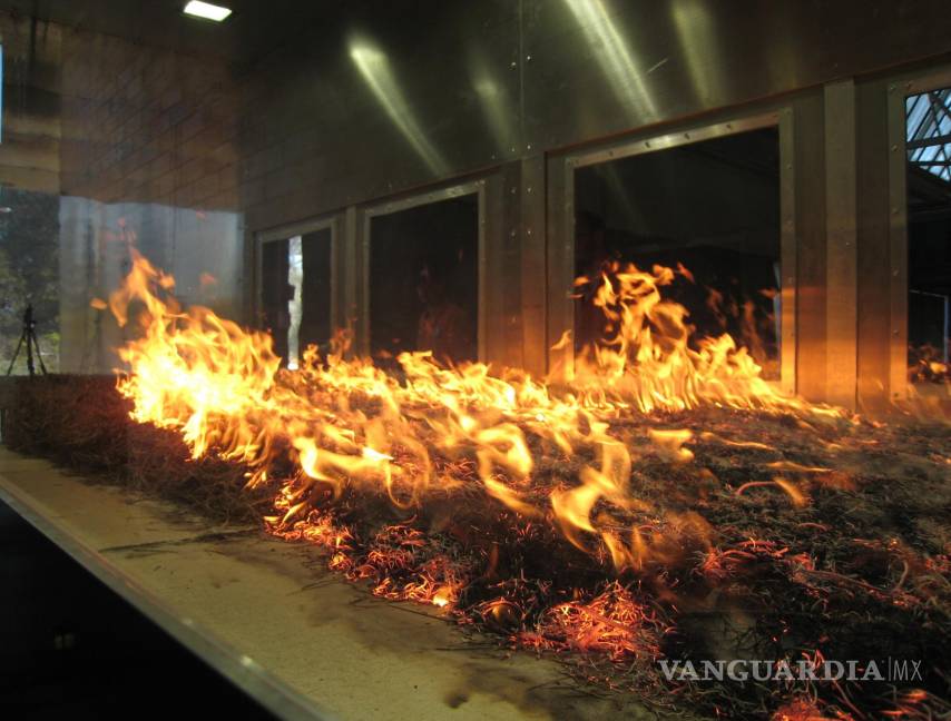 $!Pyrotron en el Laboratorio Nacional de Investigación del Comportamiento de Incendios Forestales en Black Mountain, Canberra.