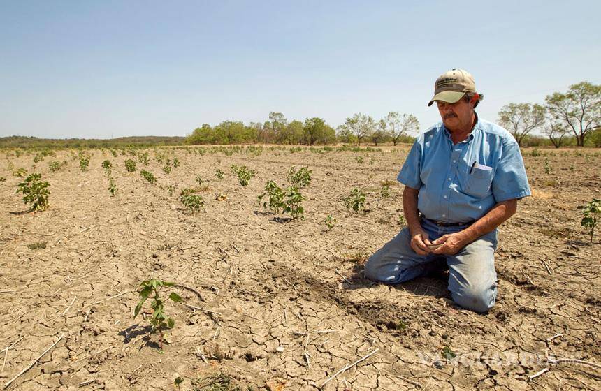 Dejan sin agua de presas a los agricultores de Sinaloa