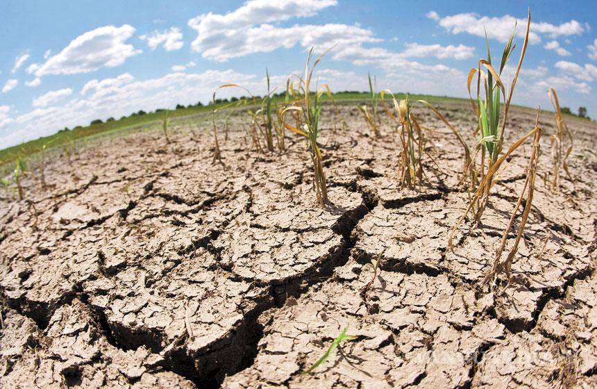 $!La falta de líquido en el norte de Coahuila pone en riesgo planes de riego agrícola.