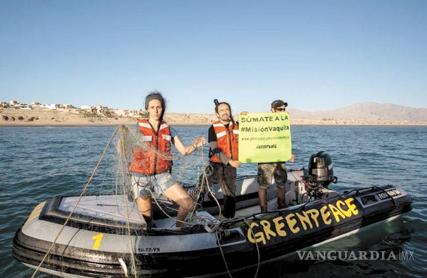 $!Recibe México premio internacional por acciones a favor de la vaquita marina