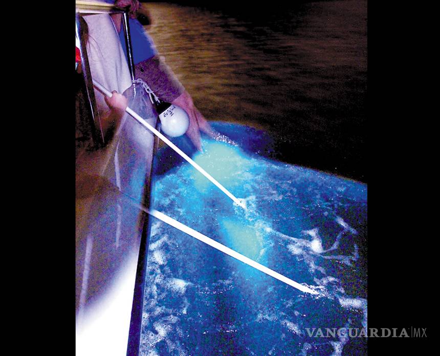 $!Puerto Rico y sus bahías bioluminiscentes