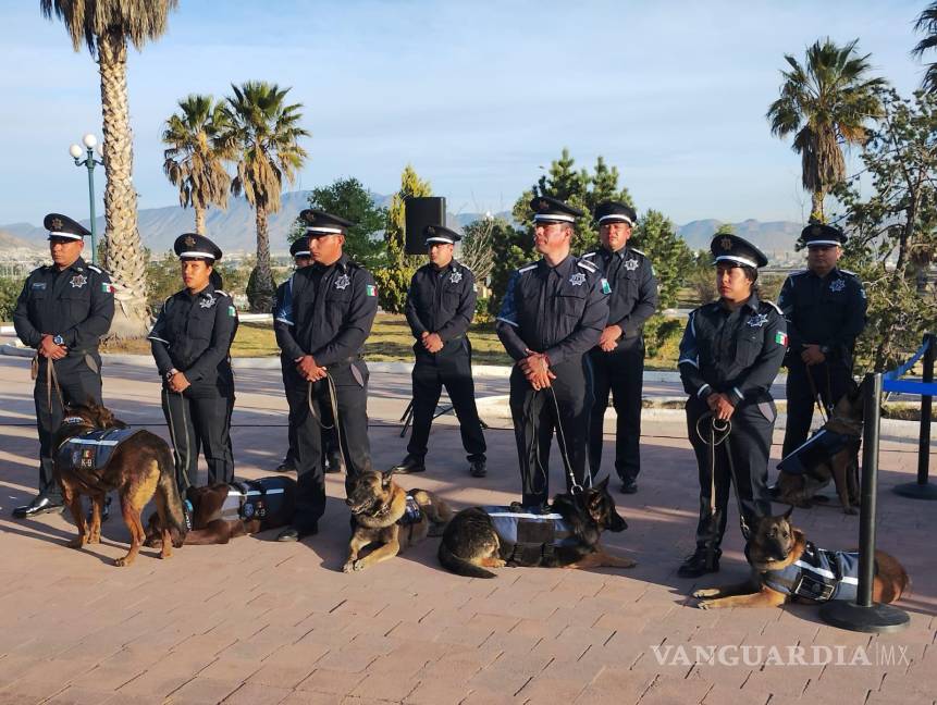 $!Unidad K-9 de la Policía Municipal de Saltillo participó en operativos de búsqueda y detección de sustancias ilícitas.