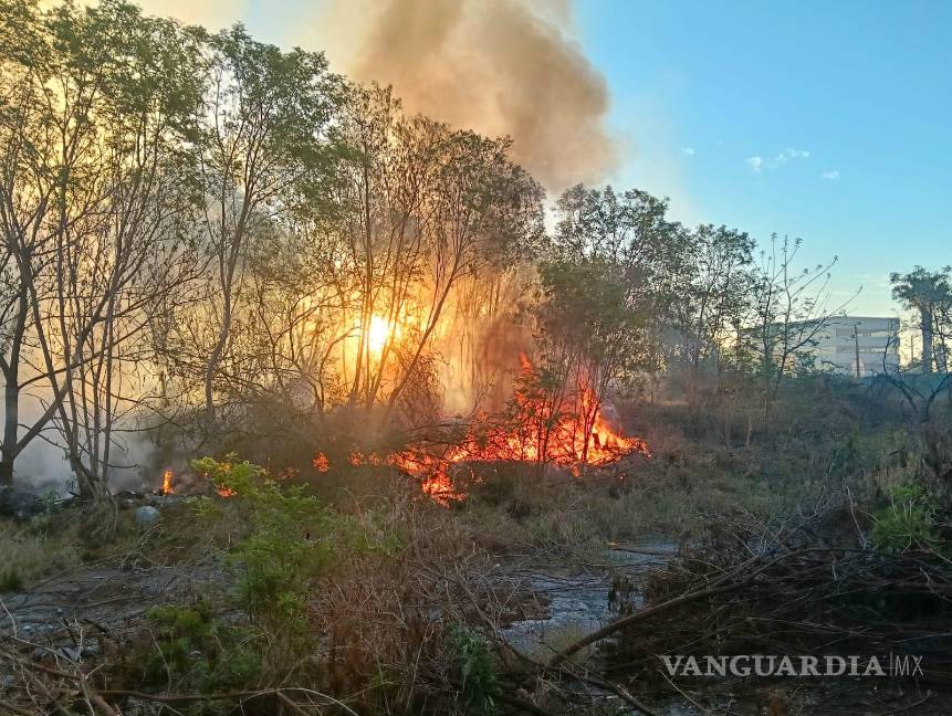 ¡Otra ola de incendios! Registra Nuevo León 122 catástrofes en 24 horas