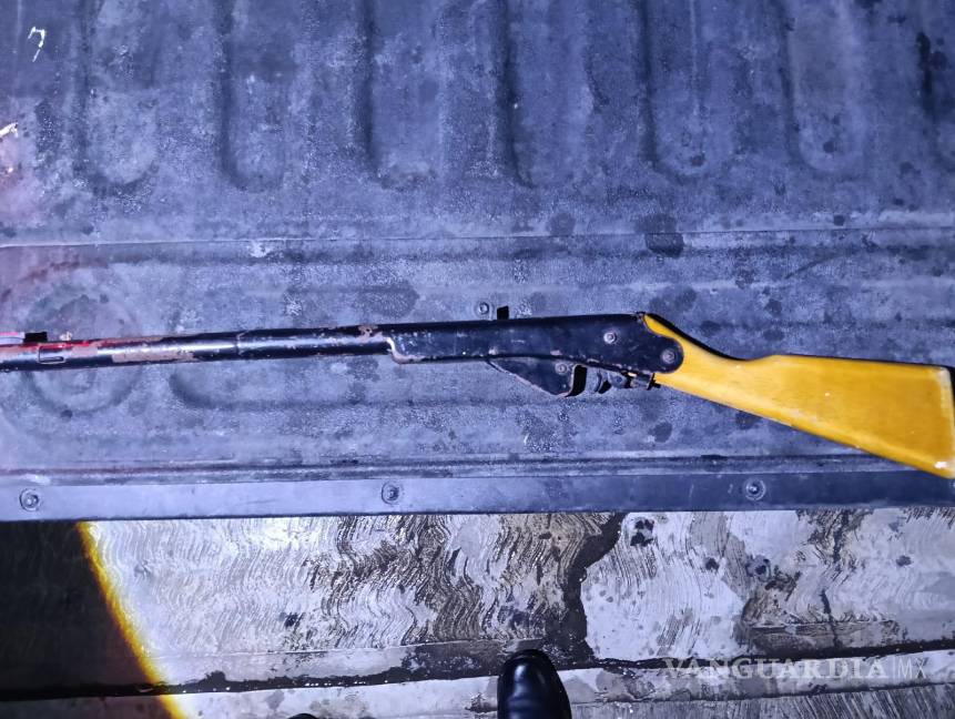 Lo detienen en posesión de drogas, un rifle, una tortuga y un caimán, en Nuevo León