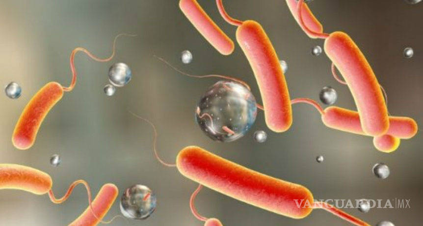 $!Detectan bacteria mortal en Tabasco; causa la muerte de tres personas