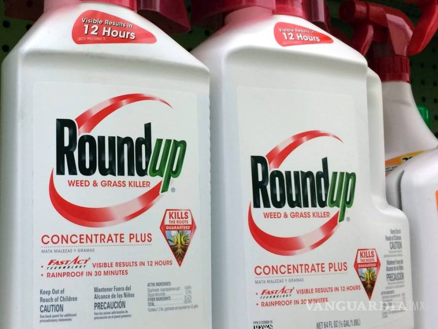 $!Condenan a Monsanto a compensar con 289 millones de dólares a jardinero con cáncer