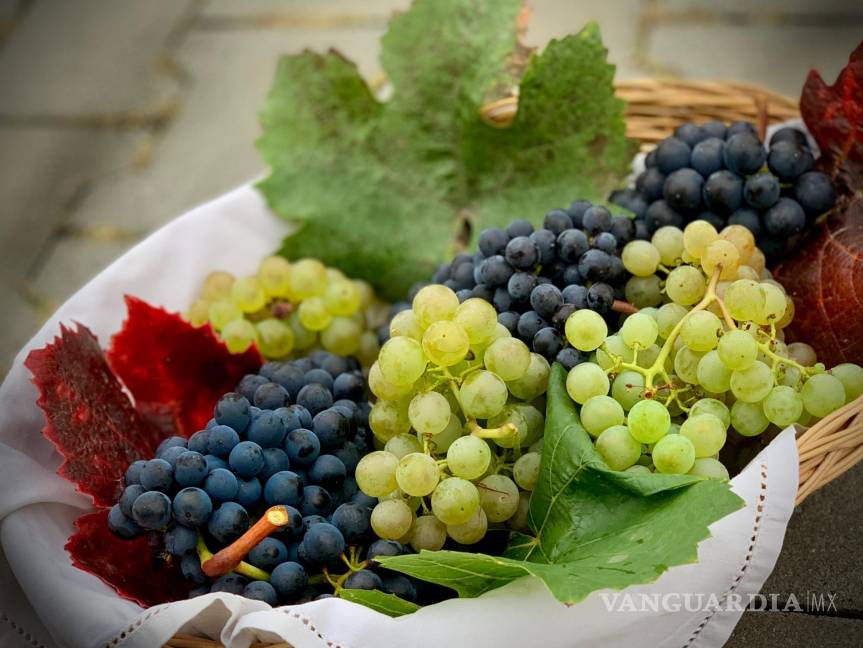 $!Las uvas pueden producir insuficiencia renal y reacciones estomacales.