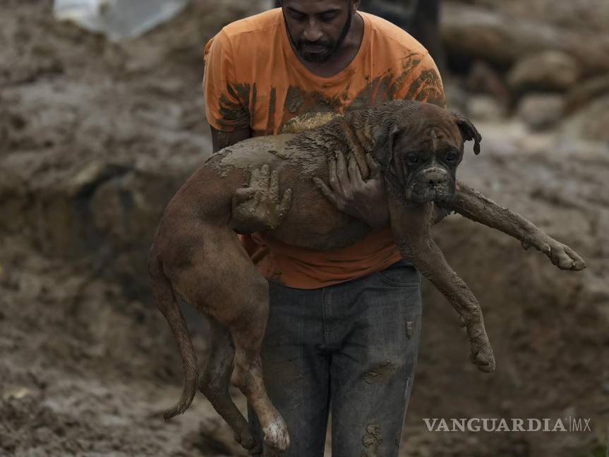 $!Un hombre rescata a un perro de una zona arrasada por deslizamientos de tierra en Petrópolis. AP/Silvia Izquierdo
