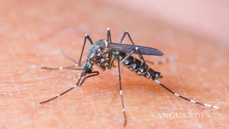 La Ssa lanza llamado por virus de Zika