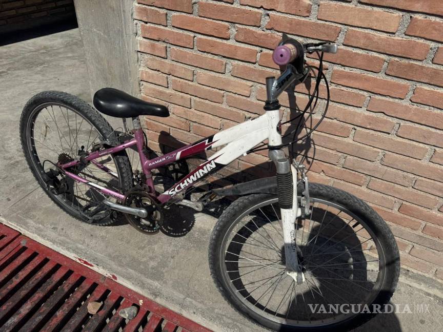 Detienen a banda de ladrones del oriente de Saltillo