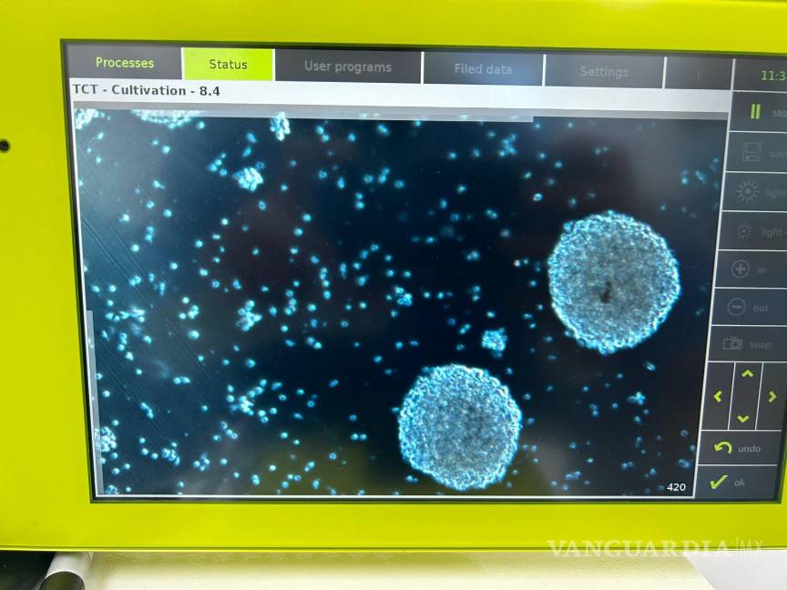 Nominan a científico de Coahuila a premio internacional por su contribución en investigación contra el cáncer