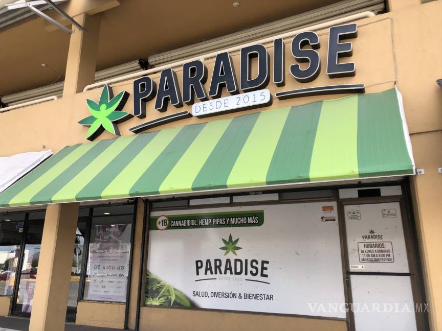 Saltillo: Adultos mayores aumentan consumo de productos derivados del cannabis (mariguana)