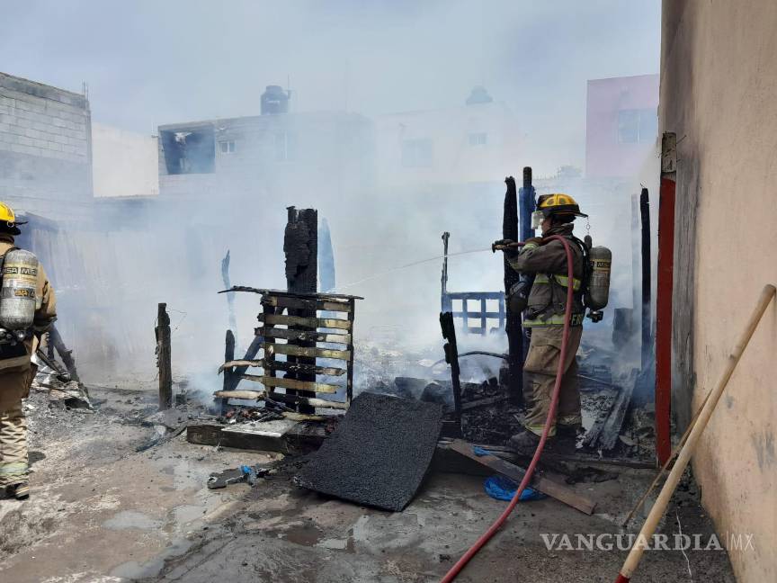 Mueren perritos en voraz incendio, en Ramos Arizpe
