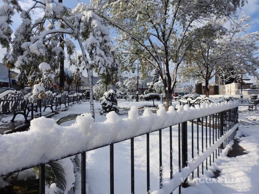 $!La nieve también embellece a Monclova (fotos)