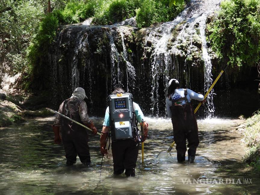 $!El equipo de investigadores realizaron labores en campo en la Región Sureste de Coahuila.